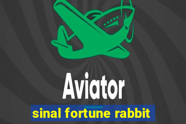 sinal fortune rabbit